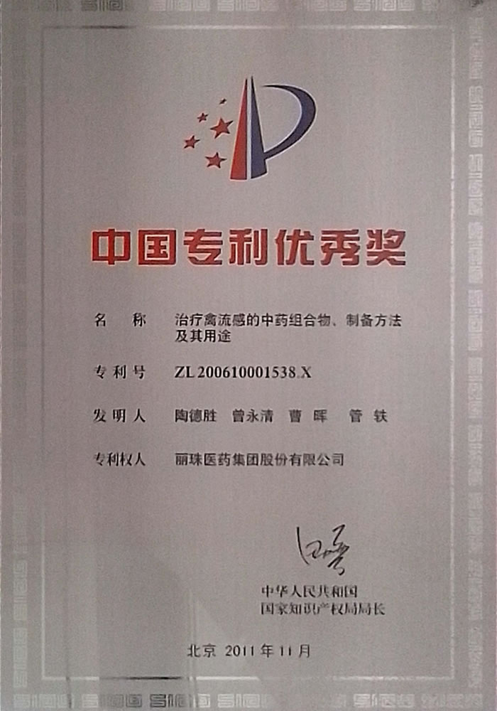 第13届中国专利优秀奖