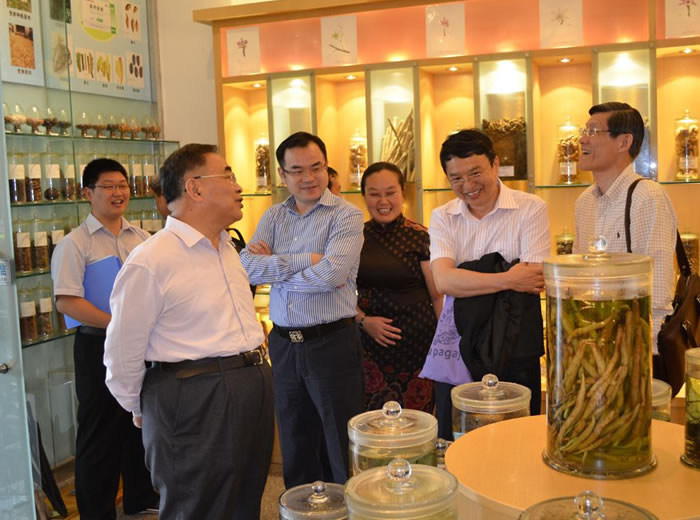 2013年张伯礼院士在丽珠集团陆文岐副总裁及曹晖博士等陪同下参观中心